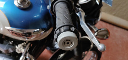 Triumph T100 with Pro-Spec ECZ 005 Easy Cruz cruise control installed