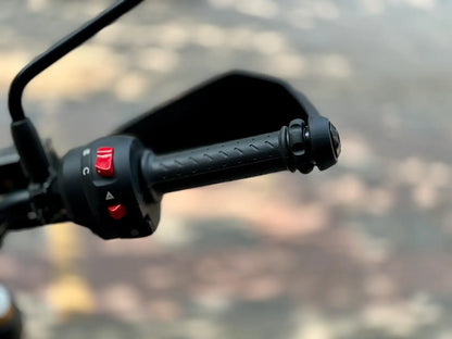 ECZ 032- Easy Cruz Triumph Scrambler 400 x